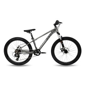 RALI 24" DISC